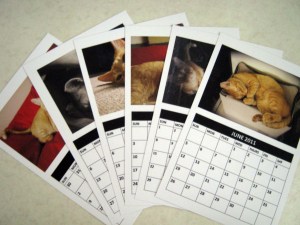 Duke calendar on one side